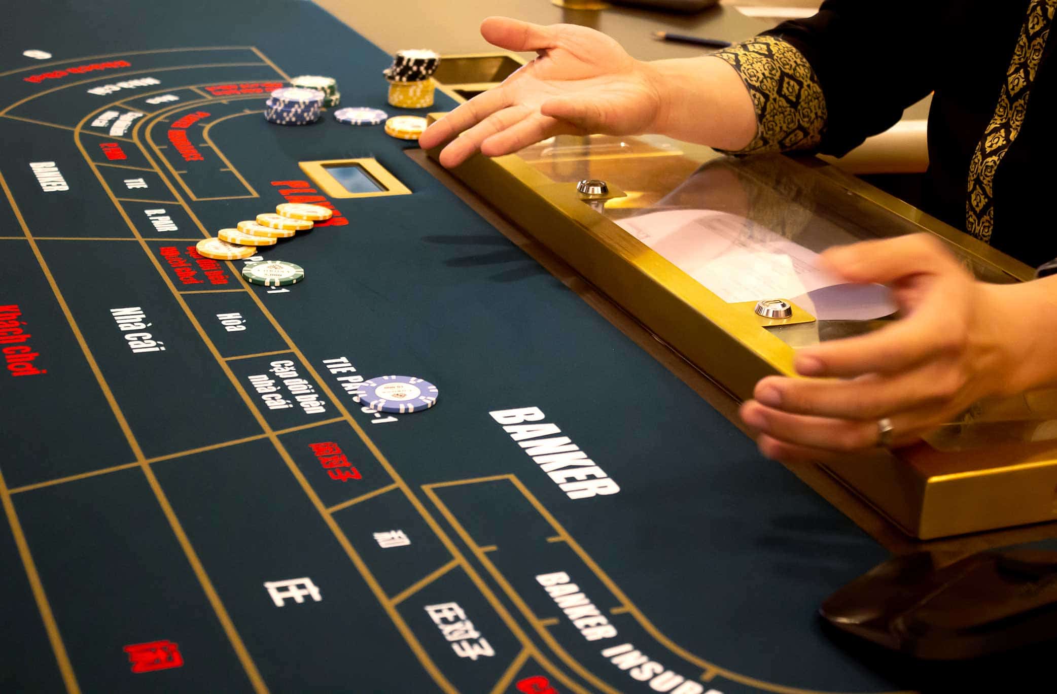 Đảo cầu Baccarat được hướng dẫn bởi chuyên gia